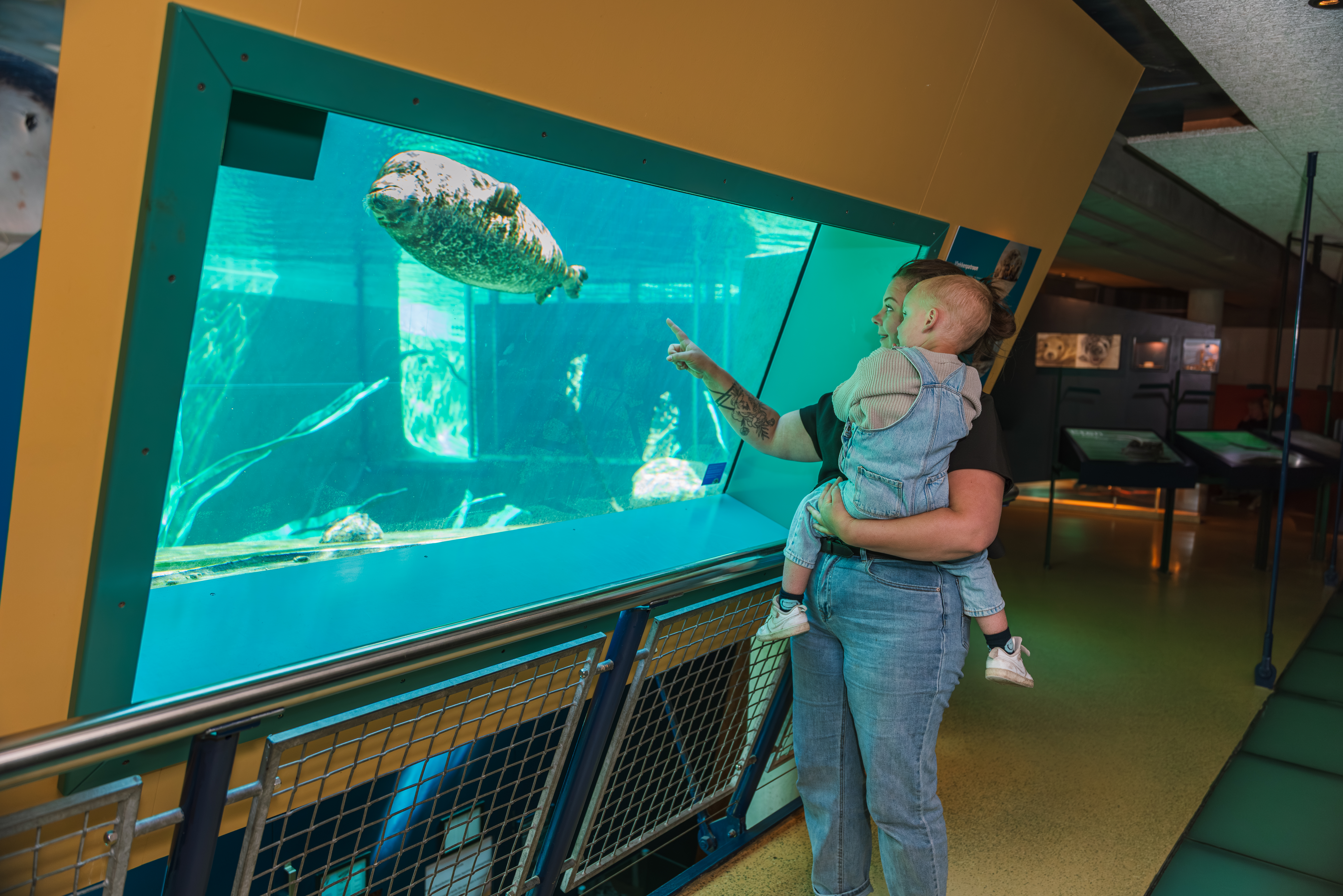 Herfstvakantie bij Ecomare - kinderen bij het Zeeaquarium