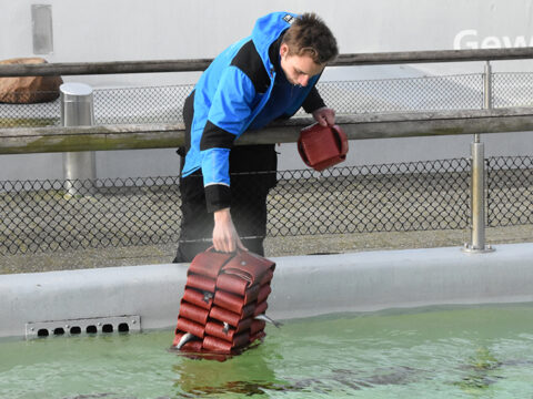 Tom plaatst verrijkingsobject in het water, met vissen erin verstopt.