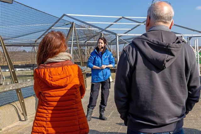 Meeuwen bij Ecomare - Meivakantie - Verbaas je