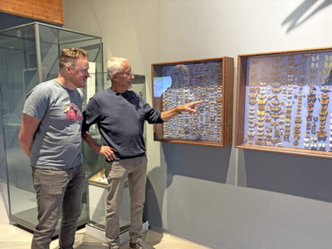 Cees Maas bij vlindervitrine Ecomare