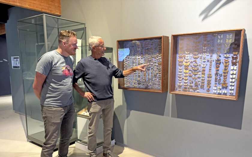 Cees Maas bij vlindervitrine Ecomare
