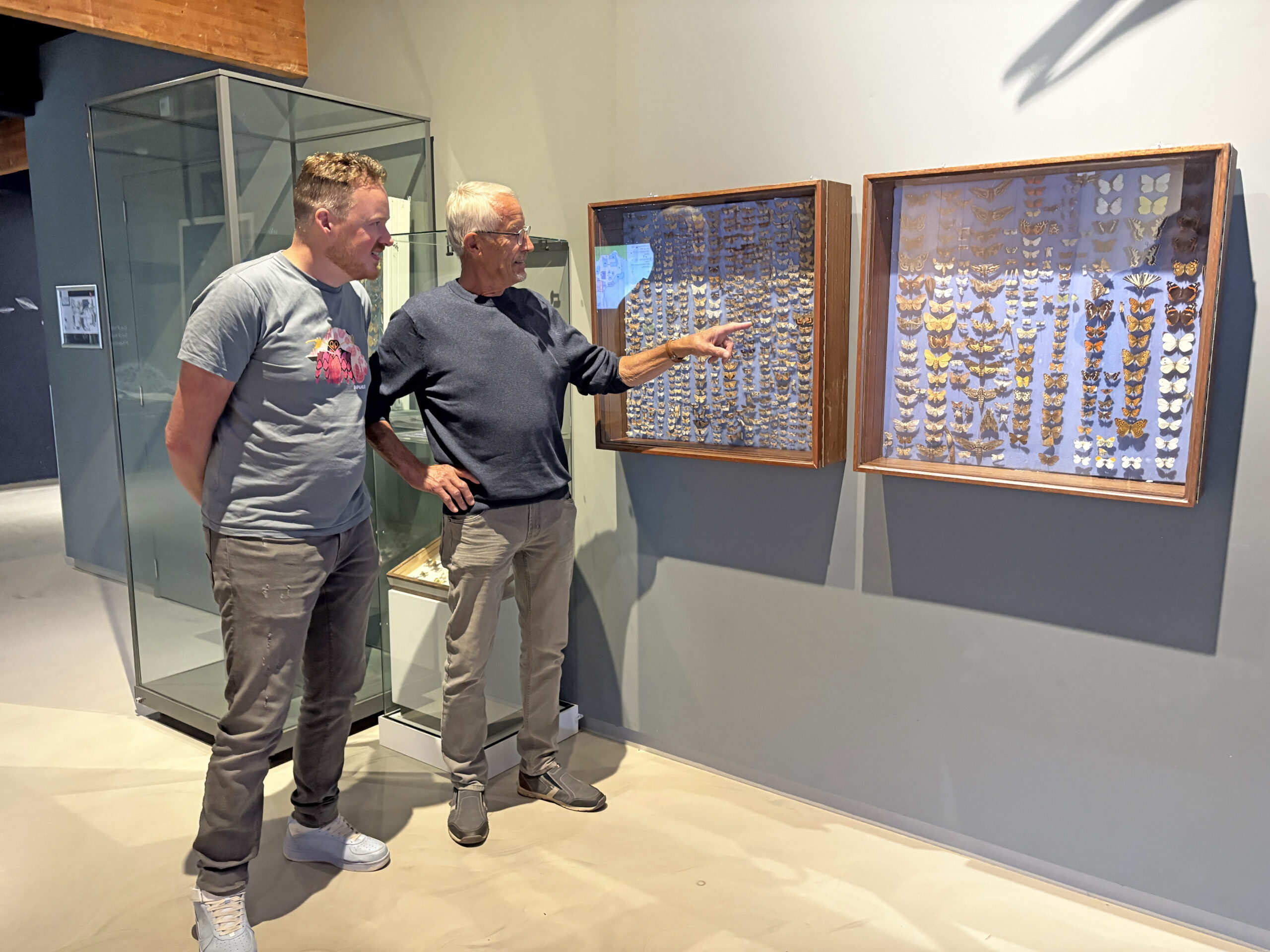 Cees Maas bij vlindervitrine Ecomare